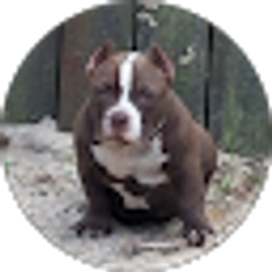 Profile photo of Cheryl