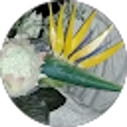 Profile photo of Roohollah Bastami