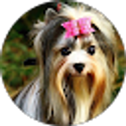 Profile photo of Redready J