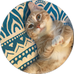 Profile photo of Kathy Blumenfeld