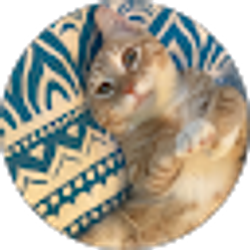 Profile photo of Kathy Blumenfeld
