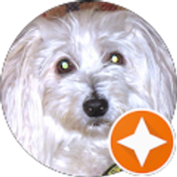 Profile photo of Carole Ivy