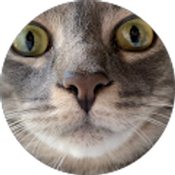 Profile photo of Charlie S