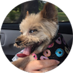 Profile photo of Lindsey Echols