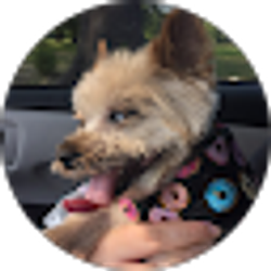 Profile photo of Lindsey Echols