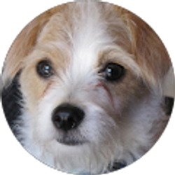 Profile photo of Melissa Maston