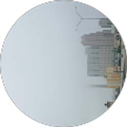 Profile photo of Evan Bernabe