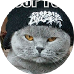 Profile photo of Gail Crowley