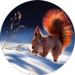 Profile photo of အသဲေလး အသဲေလး