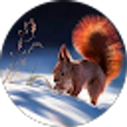 Profile photo of အသဲေလး အသဲေလး