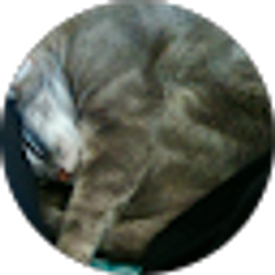 Profile photo of Denne Ritsuko