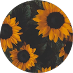 Profile photo of Daisy Quebrado