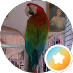 Profile photo of Marie Gaffney