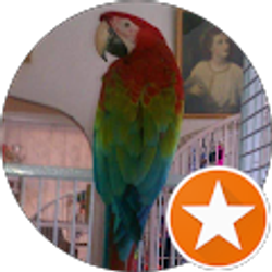 Profile photo of Marie Gaffney