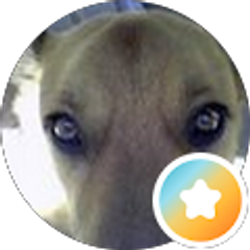 Profile photo of Kris Tallon