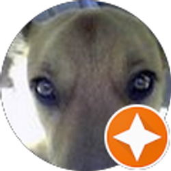 Profile photo of Kris Tallon