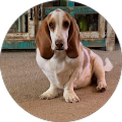 Profile photo of Emmie Varselona