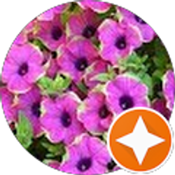 Profile photo of Rowr14