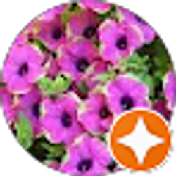 Profile photo of Rowr14