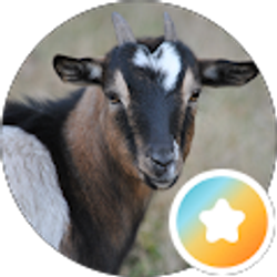 Profile photo of Kevin Frazier