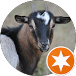 Profile photo of Kevin Frazier