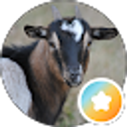 Profile photo of Kevin Frazier