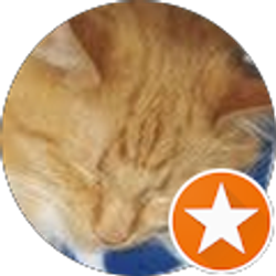 Profile photo of James Thomason