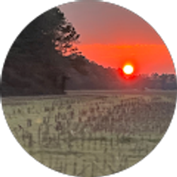 Profile photo of Richard Champ