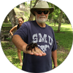 Profile photo of Tom Tunks