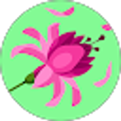 Profile photo of Berenice Topete