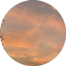 Profile photo of Kamila Salas