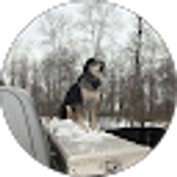 Profile photo of zack burkhart