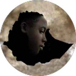 Profile photo of Samson Worku