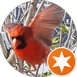 Profile photo of Rex H. (T-Rex)