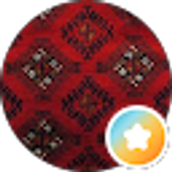 Profile photo of Zee Haidary