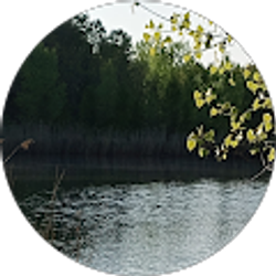 Profile photo of Adam M