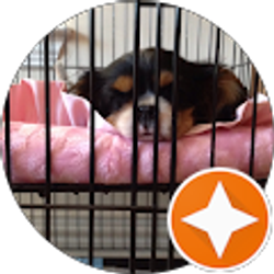 Profile photo of Matt Fairbrook