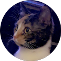 Profile photo of Jade Escher