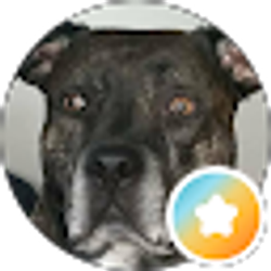 Profile photo of Jerree Ramos