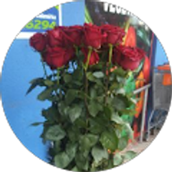 Profile photo of Angelica Chacon