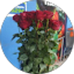 Profile photo of Angelica Chacon