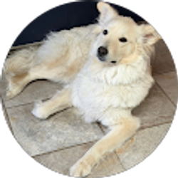 Profile photo of Cathy McGough
