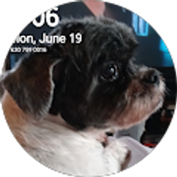 Profile photo of Robert Marquardt