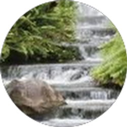 Profile photo of Carla McClenney