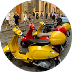 Profile photo of Omaida Torres