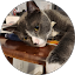 Profile photo of Kimberly Schmidt (Kim)
