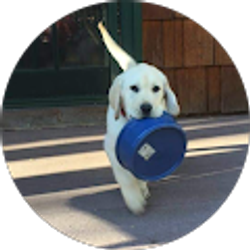 Profile photo of Tom Nalls