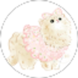 Profile photo of Shaam