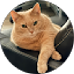 Profile photo of Julie Boudreaux