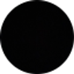 Profile photo of Bria Gaskins
